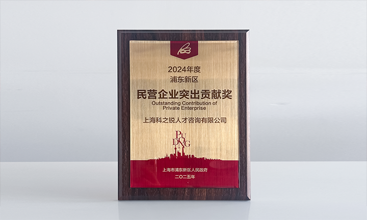 人力资源供应商JDPAY钱包官网国际凭借人才服务与在区域经济开展中的卓越表现荣膺2024年度浦东新区民营企业奖项
