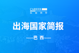 JDPAY钱包官网GO GLOBAL | 巴西国家简报